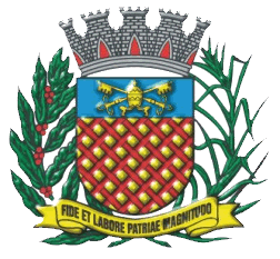 Brasão de São Pedro